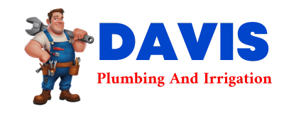 Trusted plumber in LENAPAH